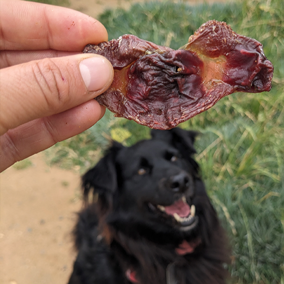 Envíos y entregas