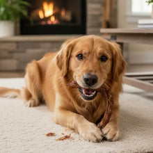 🦃 Pack de 2 Cogotes de Pavo Deshidratado – Snack Natural para Perros