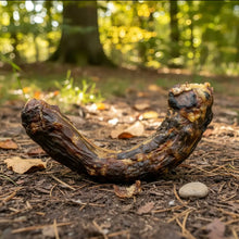 🦃 Pack de 2 Cogotes de Pavo Deshidratado – Snack Natural para Perros